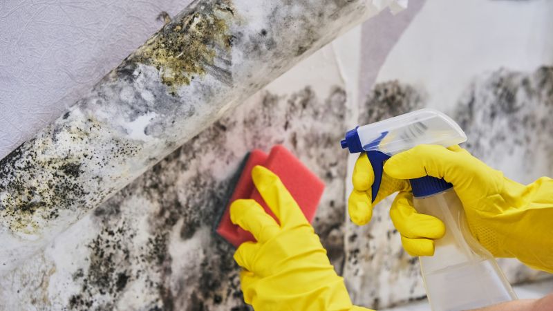 Palm Beach County, FL