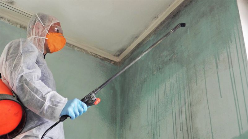 Ceiling Mold Removal in Dallas, TX