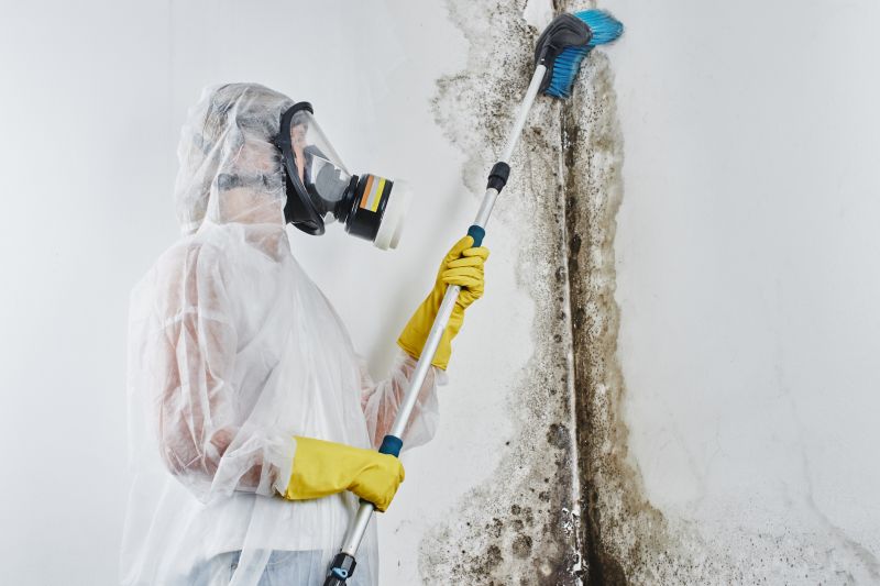 Ceiling Mold Removal in Essex County, NJ