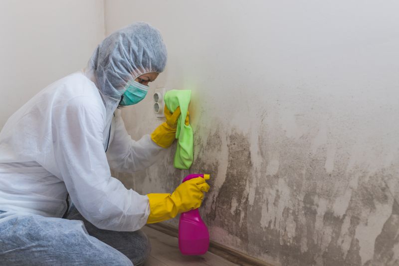 Crawl Space Mold Removal in Essex County, NJ