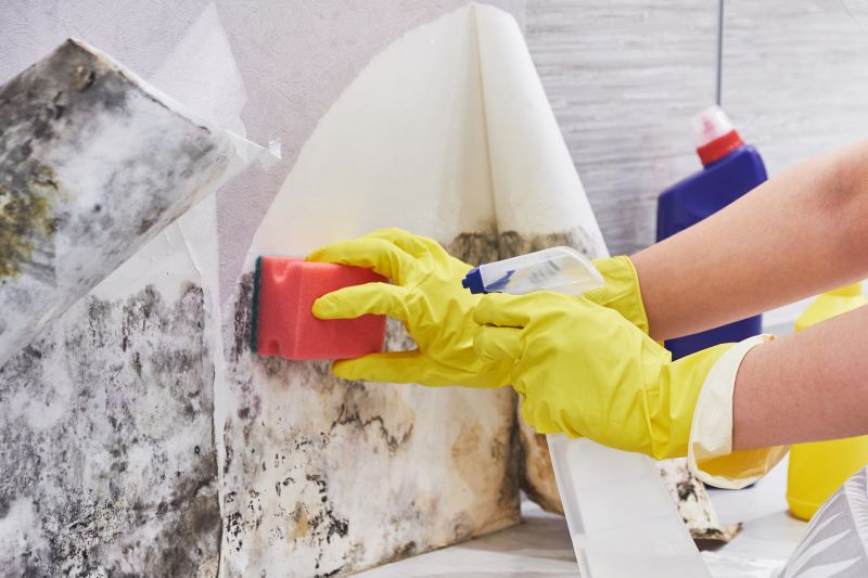Garage Mold Remediation in Dallas, TX