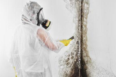 Mold Abatement in Palm Beach County, FL
