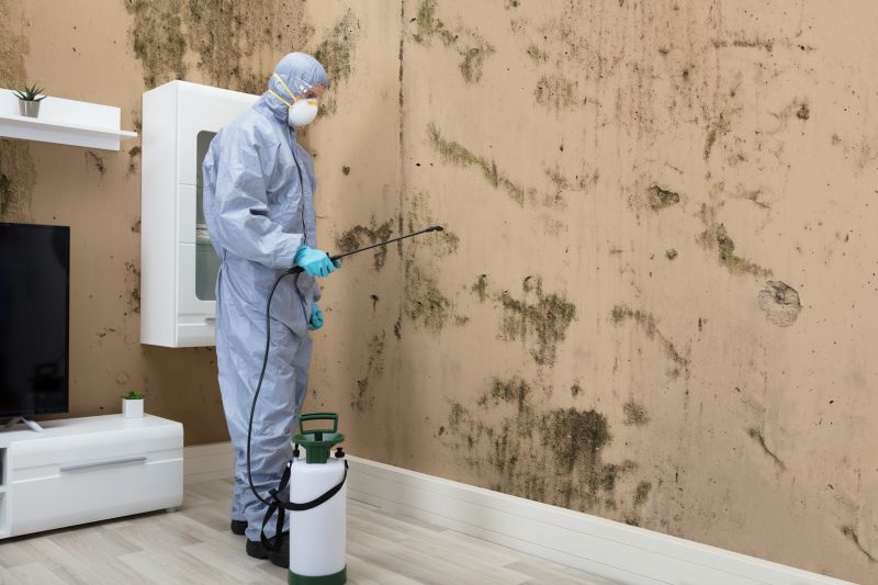 Mold Abatement in Denton, TX