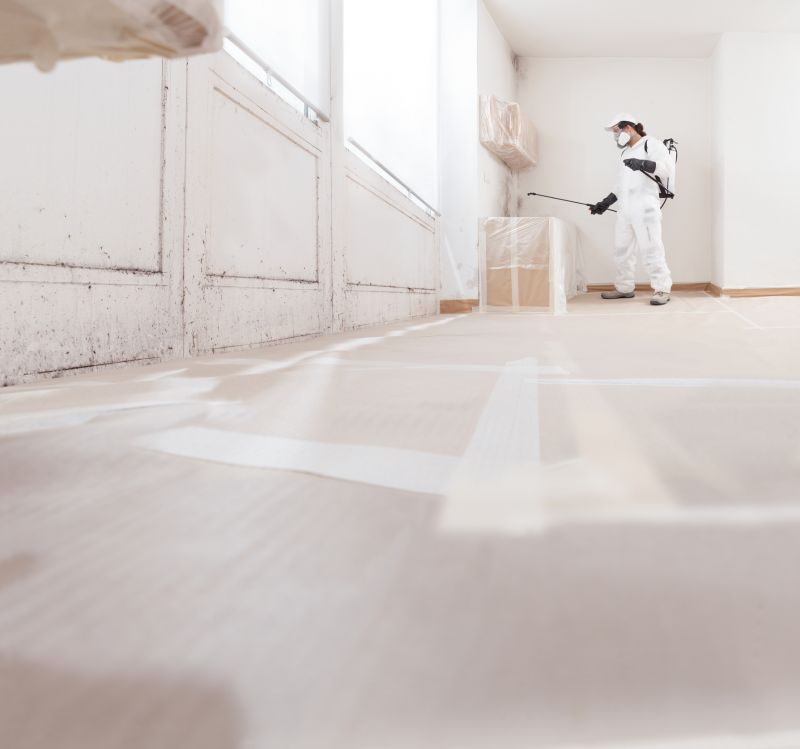 Mold Abatement Service in Fort Lauderdale, FL