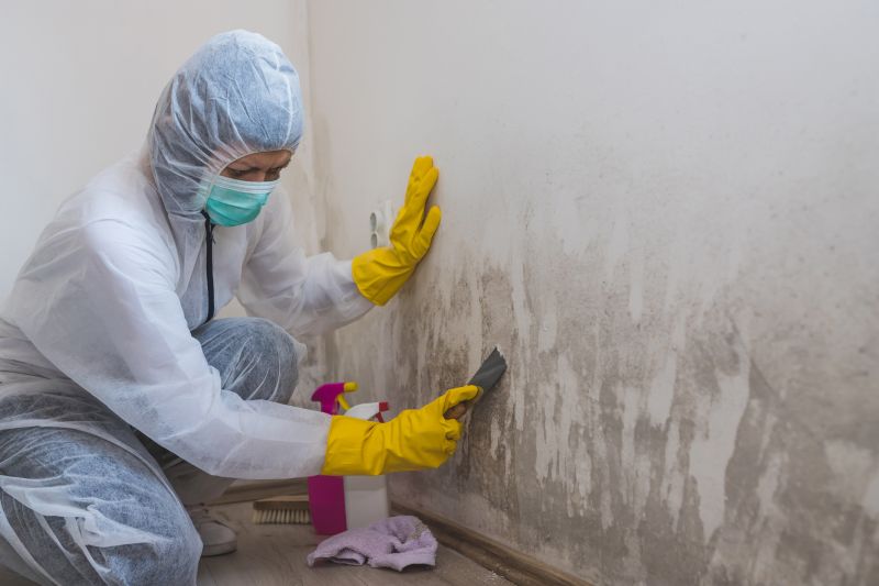Mold Abatement Service in Broward County, FL