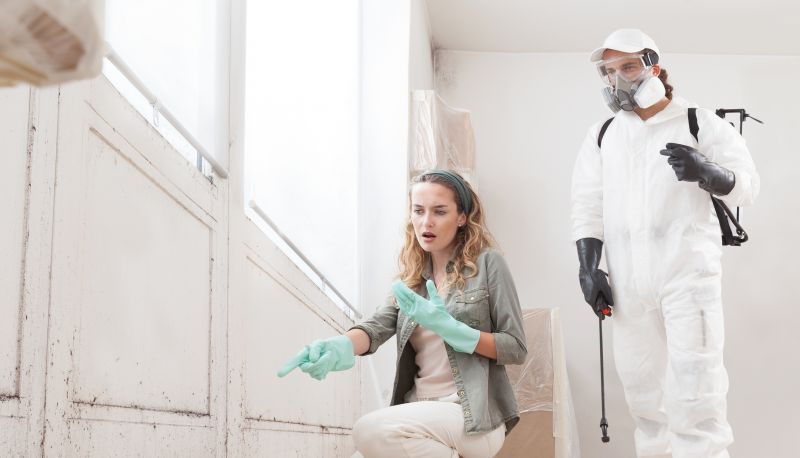 Mold Cleanup Service in Essex County, NJ