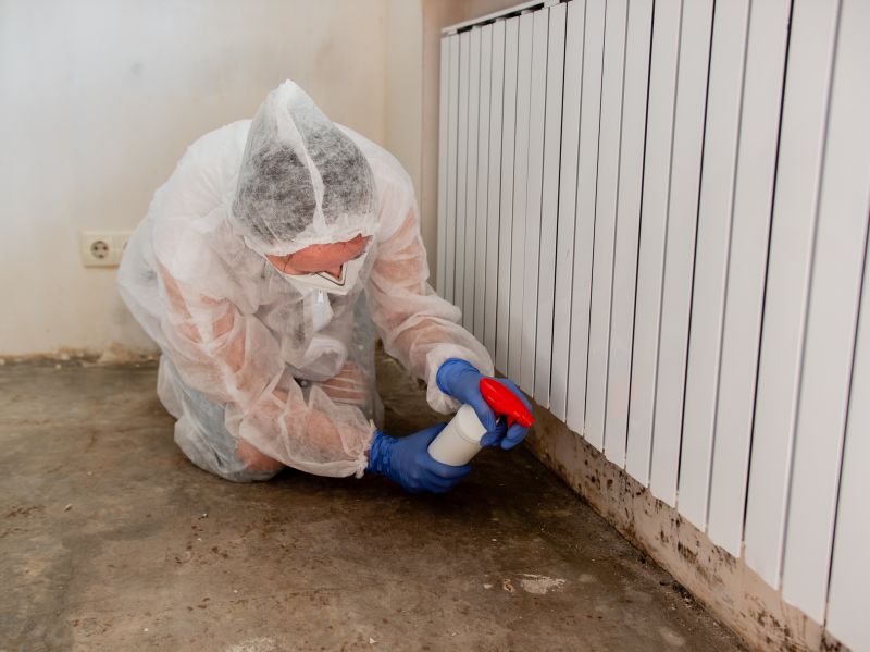 Mold Mitigation Service in Broward County, FL