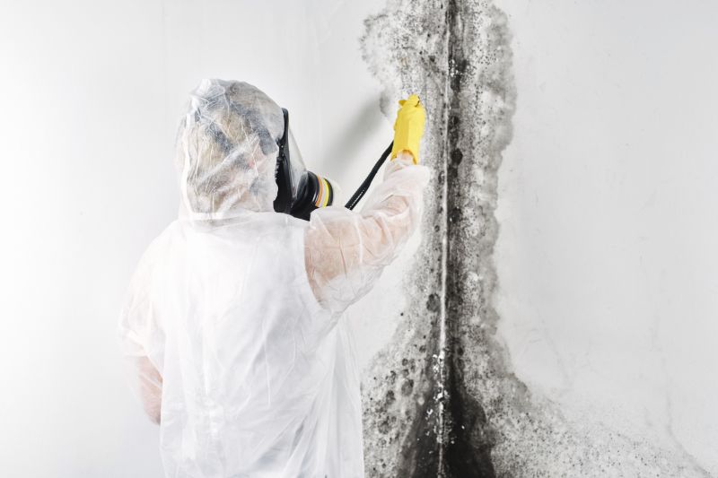 Mold Mitigation Service in West Palm Beach, FL