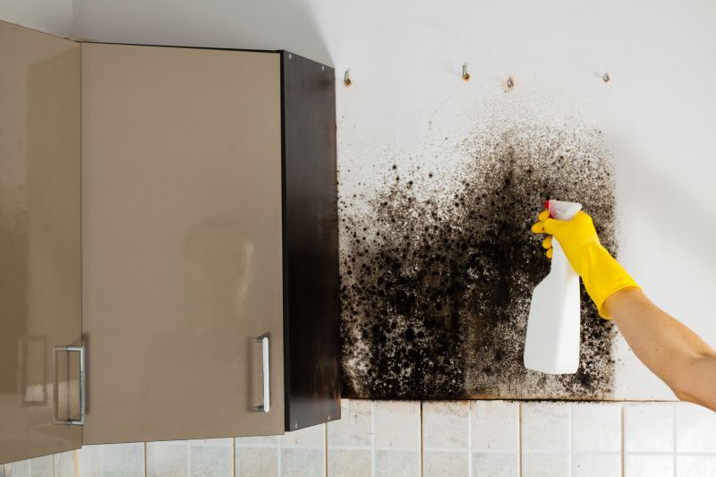 Mold Removal in Bergen County, NJ