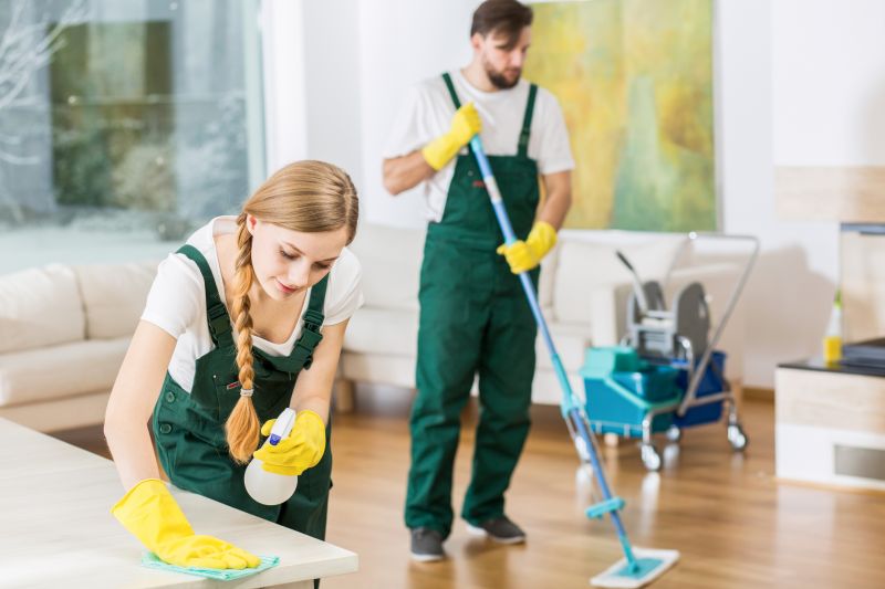 Reo Property Cleaning in Kent, WA
