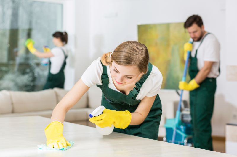 Reo Property Cleaning in Frisco, TX