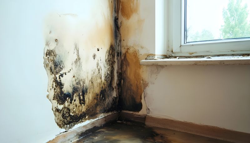 White Mold Mitigation in Jupiter, FL