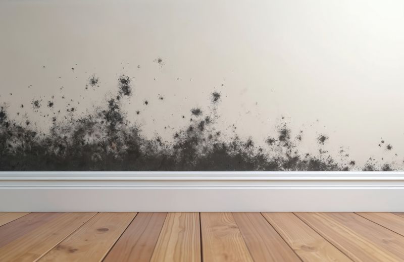 White Mold Mitigation in Boca Raton, FL