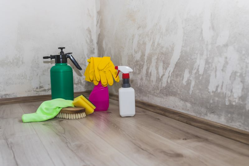 Attic Mold Remediation in Broward County, FL