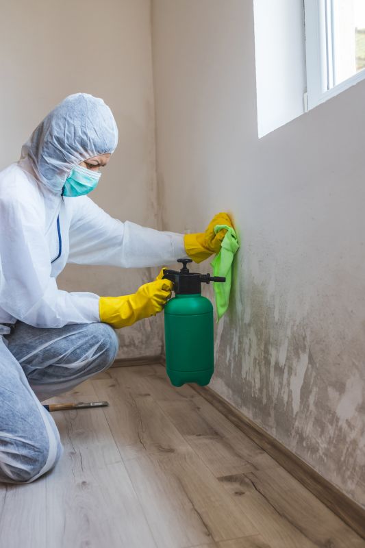 Basement Mold Removal in Essex County, NJ