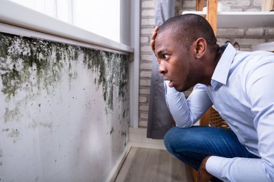 Mold Abatement in Pompano Beach, FL